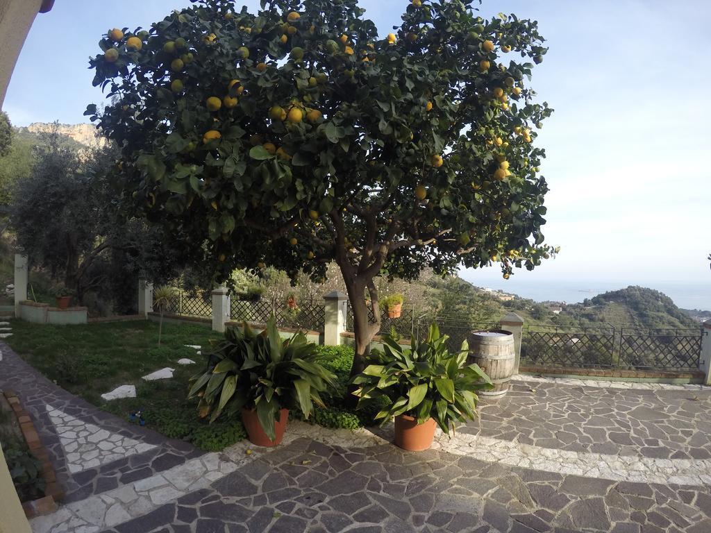 Appartamenti Con Vista Panoramica 圣玛丽亚纳瓦雷 外观 照片